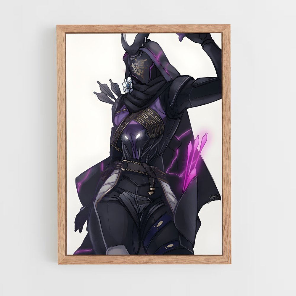 Poster Shadow Guardian – affiche Destiny (vue 4)